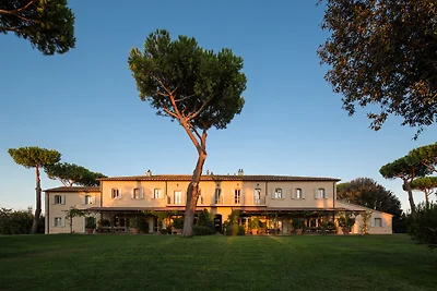 Wine Cottage of Bolgheri