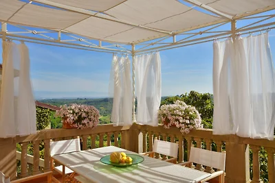Villa Lari