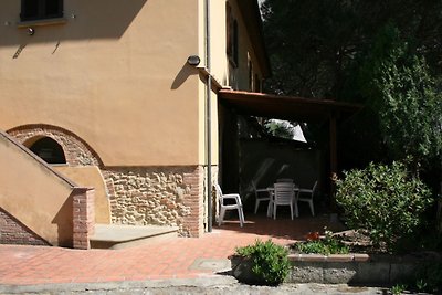Le Palme