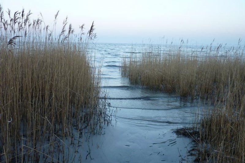 Winterstimmung an der Ostsee