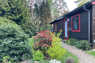 Haus Sonnenschein -  am Dankernsee