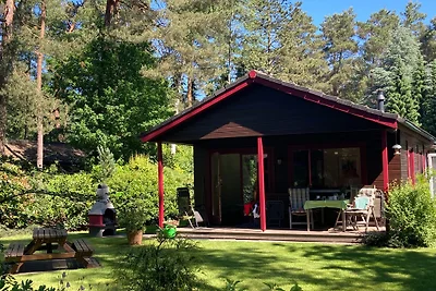 Haus Sonnenschein -  am Dankernsee