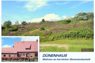 Fewo Dünenhaus, direkt an den Dünen