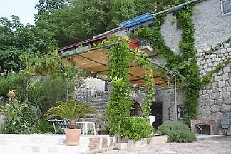 Steinhaus Mimi