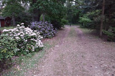 Ferienhaus Tiekow 40m bis zur Havel