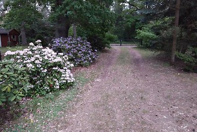 Ferienhaus Briest an der Havel