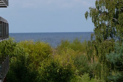 Parque Báltico