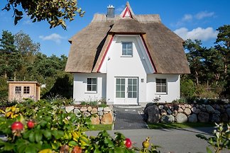 Ferienhaus Seeschwalbe 10