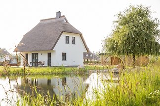 Ferienhaus Seeschwalbe 37