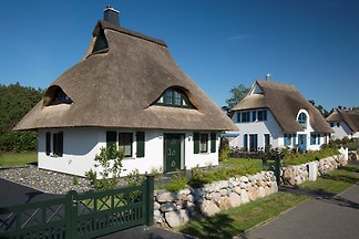 Ferienhauser Ferienwohnungen In Mecklenburg Vorpommern Mieten