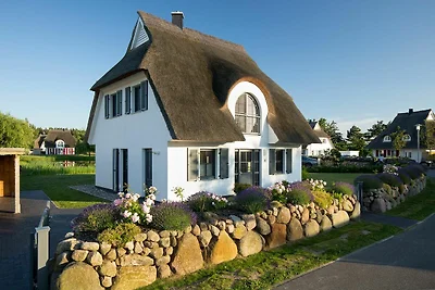 Ferienhaus Schilfrohrsänger 54