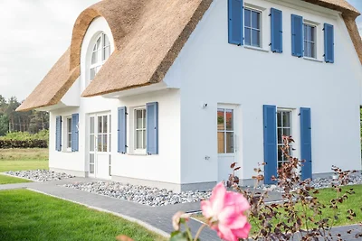 Ferienhaus Schilfrohrsänger 31