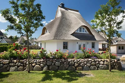 Ferienhaus Seeadler 24