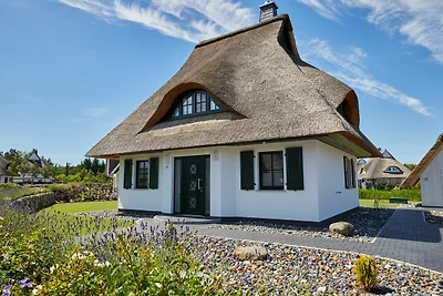 Ferienhaus Seeadler 49