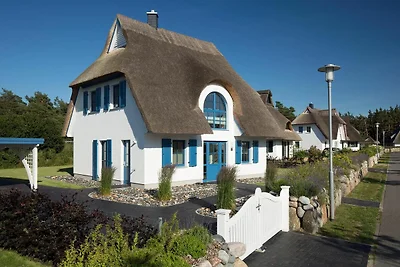 Ferienhaus Schilfrohrsänger 8