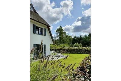 Ferienhaus Seeschwalbe 44