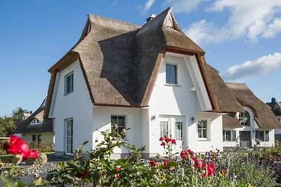 Ferienhaus Seeschwalbe 35
