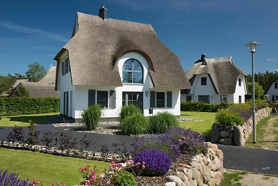 Ferienhaus Schilfrohrsänger 36