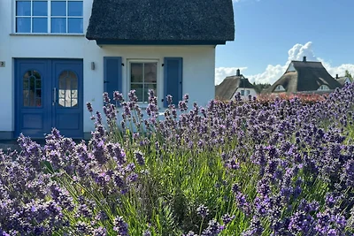 Vakantiehuis Ontspannende vakantie Fuhlendorf