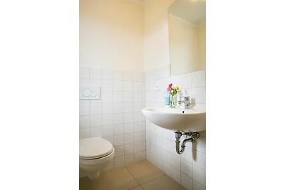 Ferienhaus Seeschwalbe 60