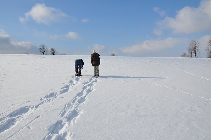 Wandern mit Schneeschuhen