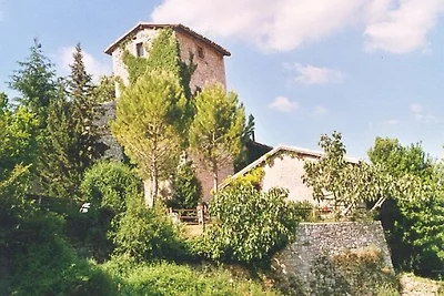Podere Eduardo - Pinella + Rosetta