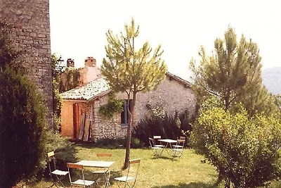Podere Eduardo - Pinella + Rosetta