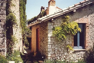 Podere Eduardo - Pinella + Rosetta