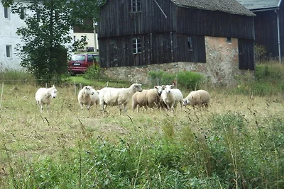 Mühlenhof Monti Metalliferi
