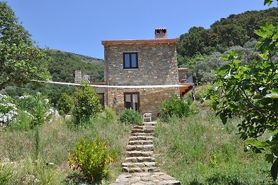 Dom wakacyjny Casa Bellavista