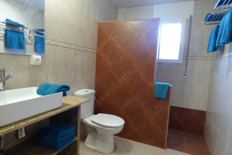Prachtige badkamer met wastafel, inloopdouche en toilet.