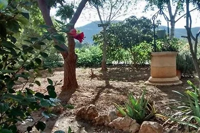 Finca Frisia / Casa Gala