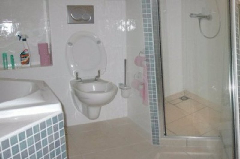 ruime badkamer , ligbad,inloop douche, wastafel (grenzend aan master bedroom