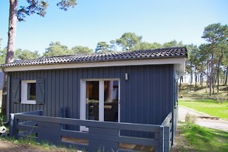 Schwedenferienhäuschen Blue Wonder