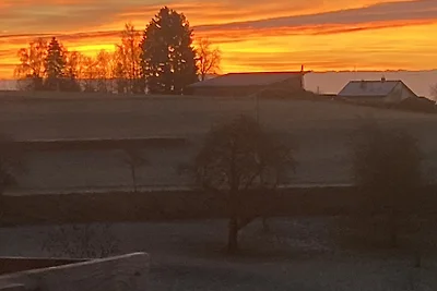 Familienferienhof Berger