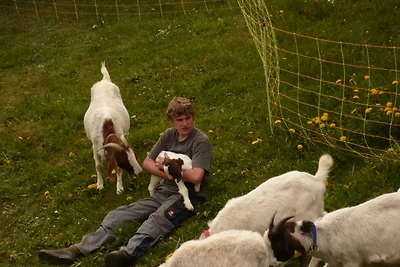 Familienferienhof Berger