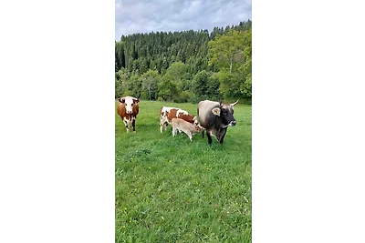 Familienferienhof Berger