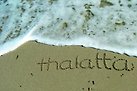 Firma T. THALATTA CAMP Firma T. THALATTA CAMP