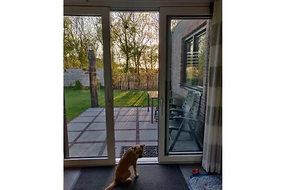 De Duinroos