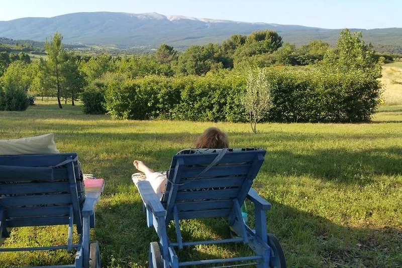 Blick vom Garten auf den Mont Ventoux