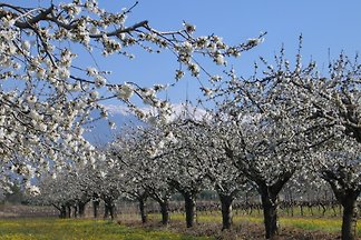 Wunderbarer Ausgangspunkt für einen traumhaften Provence-Urlaub