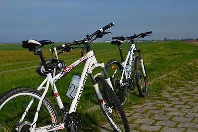 Ferienwohnung MUSCHEL in Hooksiel