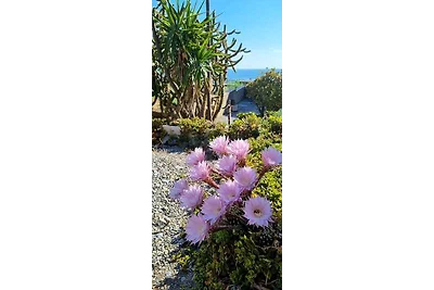 Domek letniskowy Cau de Creus