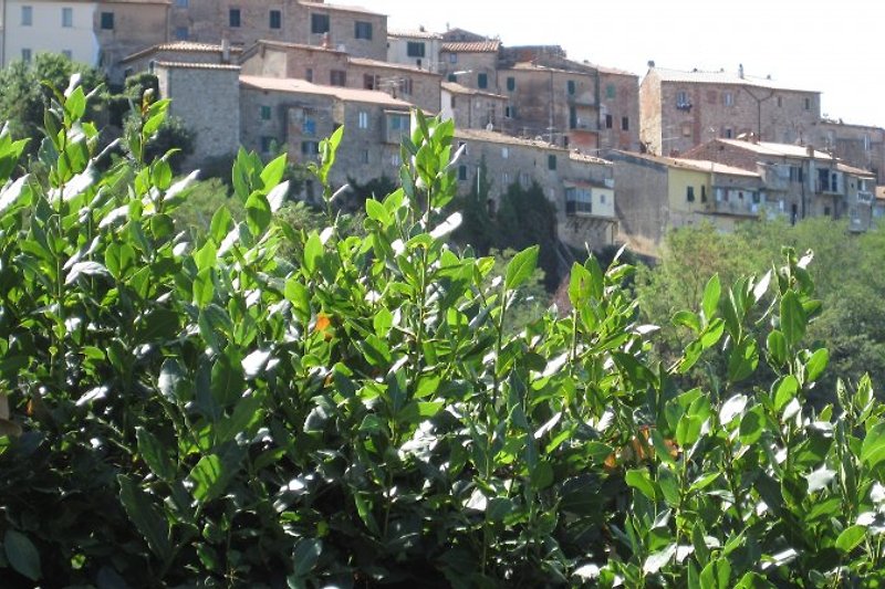 Blick von oberer Terrasse auf Gavorrano