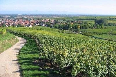 gîte aux 3 pierres in Eguisheim