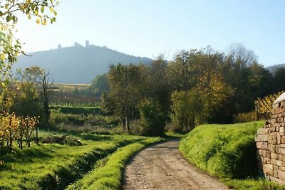 Gite Aux 3 pierres a Eguisheim