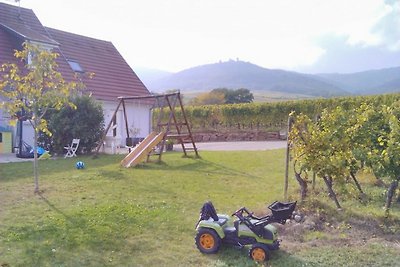 gîte aux 3 pierres in Eguisheim