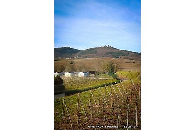 cottage aux 3 pierres in Eguisheim