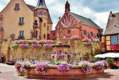 gîte aux 3 pierres in Eguisheim