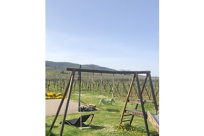 gîte aux 3 pierres in Eguisheim